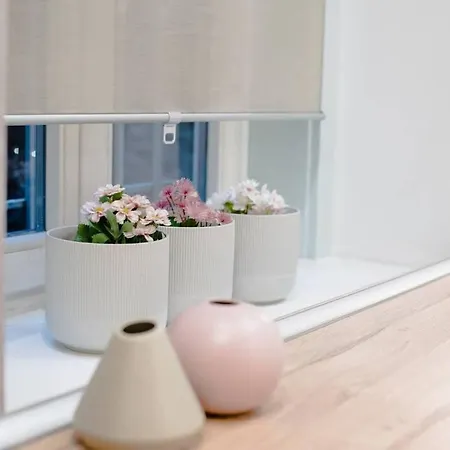 Full Comfort, 4 Bedrooms In The Heart Of The Διαμέρισμα Βουδαπέστη